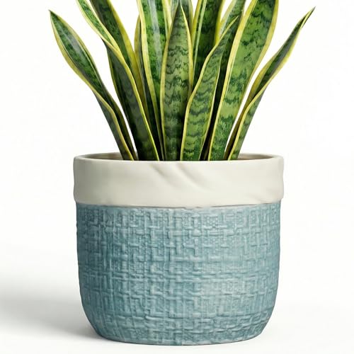 Ceramic Planter, 8 Inch Plant Pot, Round Flower Pots, Blue - color: Blue, size: 8 Inch