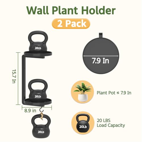 LASZOLA Plant Hanger Holder Window Shelf Wall Mounted Indoor, 2 Pcs Black - color: Dark Black, size: 2
