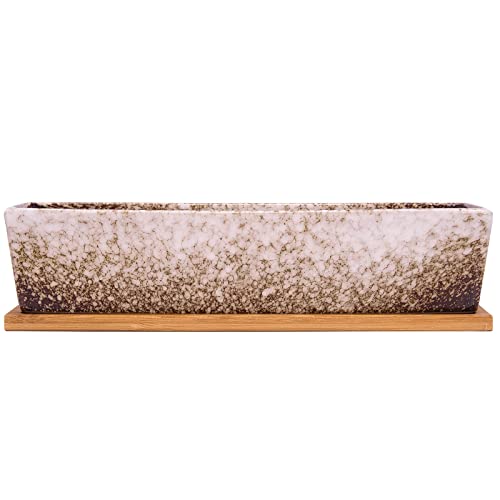 Succulent Pots - 12.1 Inch Large Succulent Planters Pots with Drainage Tray - color: White