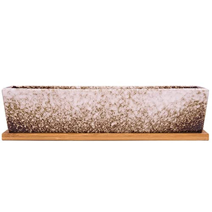 Succulent Pots - 12.1 Inch Large Succulent Planters Pots with Drainage Tray - color: White