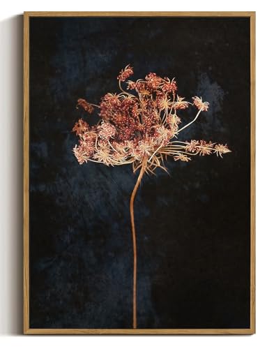 Moody Botanical Flower Framed Canvas Wall Art 16x24 inch - color: Radish flower, size: 16"x24" Natural
