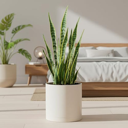 D'vine Dev Plastic Planter Pot with Saucer, 10 in, Oatmeal, 74-X-H-2 - color: Oatmeal, size: 10 Inch