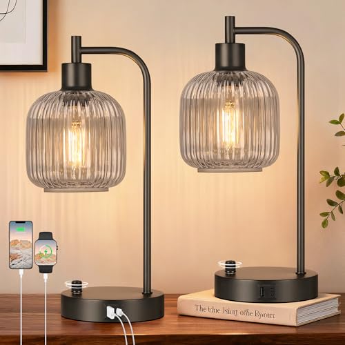 Grey Glass Table Lamps Set of 2, Dimmable Bedside Lamps for Living Room - color: Black&Grey