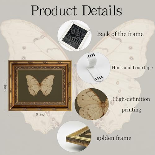 Vintage Gold Framed Wall Art Classical White Butterfly Wall Art Small Moody Insect Green Wall Decor Picture Antique Cottagecore Moth Gallery Aesthetic Poster Print for Living Room Bedroom 9x11in - color: Butterfly, size: 11"l X 9"w