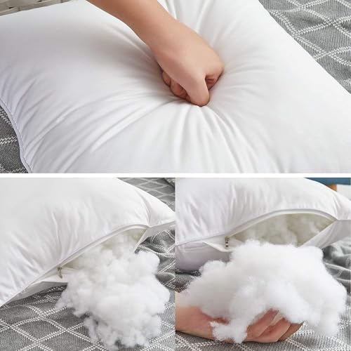 Leeden 30 x 30 Throw Pillow Inserts Set of 2, Fluffy Euro Pillows - size: 30x30 Inch