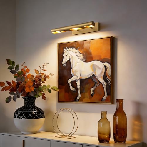 18 Inch Hardwired Picture for Wall Brass Picture Lighting - color: Brass, size: 18in