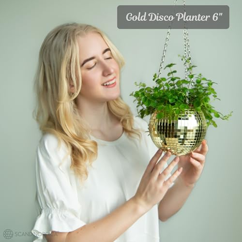 SCANDINORDICA Disco Ball Planter, Value Package, 6-inch Gold - size: 6" Gold