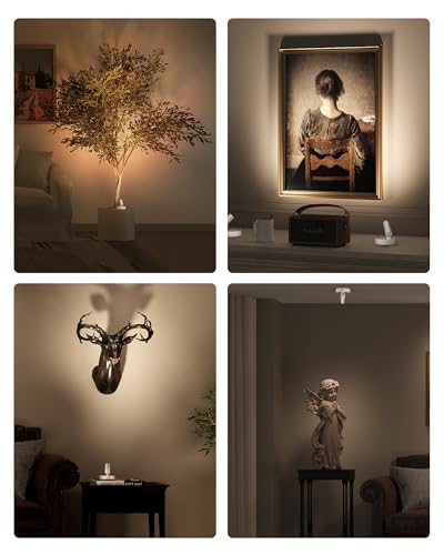 EZVALO Spot Lights Indoor, 5500mAh Rechargeable Picture Lights with Remote, Wireless Mini Art Accent Spotlights with Timer & Dimmable, 3-CCT, Uplights Indoor for Plants, Display (2-Pack-White) - color: White