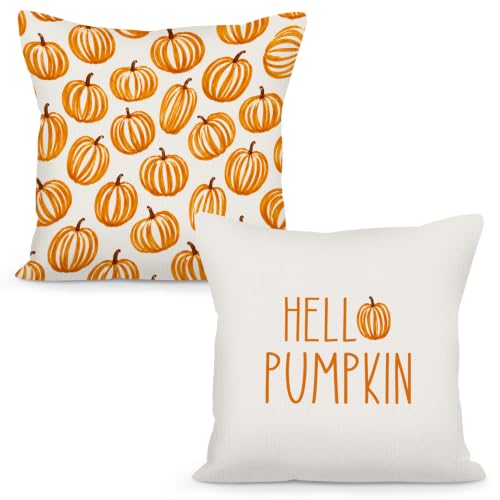 Vintage Fall Hello Pumpkin Throw Pillow Covers 18x18 Set of 2 - color: Hello Pumpkin1