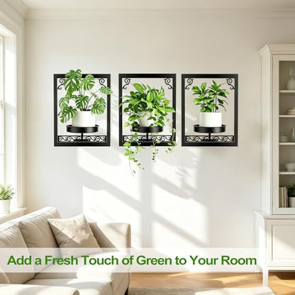 WGFKVAS Wall Plant Holder Set of 3, Picture Frame Plant Holder
