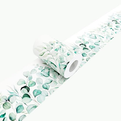 Eucalyptus Wallpaper Border Peel and Stick Green Leaf Botanical Trim - color: Green/White, size: 3.9" x 196.8"