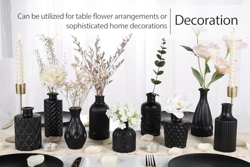 TBWIND 12 Pcs Black Glass Bud Vase Set, Small Vases for Flowers - color: Black-12pcs, size: 12Pcs