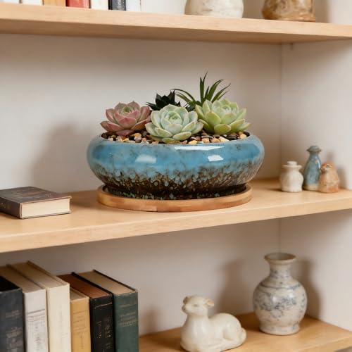 Succulent Pots, 7.3 Inch, Round Large Shallow Flower Plant Pots