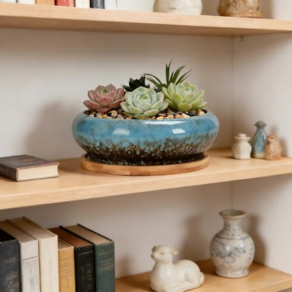 Succulent Pots, 7.3 Inch, Round Large Shallow Flower Plant Pots