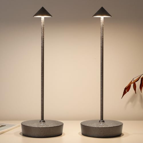 2Pack Rechargeable Cordless Table Lamp, Portable Powered LED Battery 6000mAh Metal USB Desk Lamp, 3 Levels Brightness Light for Restaurants Outdoor (2pack LCE Flower Brown) - color: 2pack Lce Flower Brown