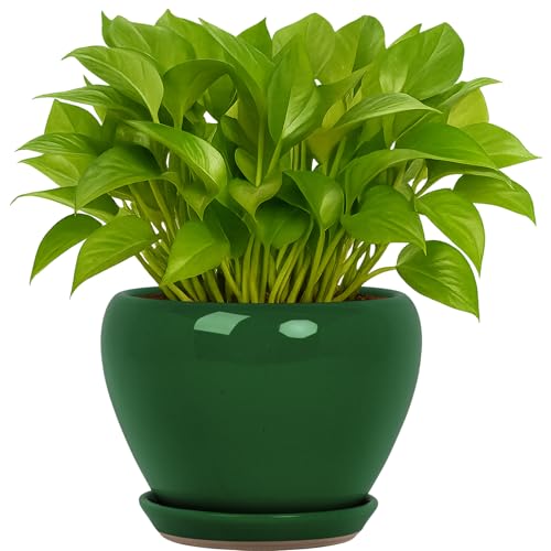 Deep Dream 6 Inch Plant Pots- Ceramic Planter Pot with Drainage Hole and Saucer, Round Flower Pot for Indoor Outdoor Succulent, Snake Plants and Cactus, Green - color: Green, size: 6 Inch