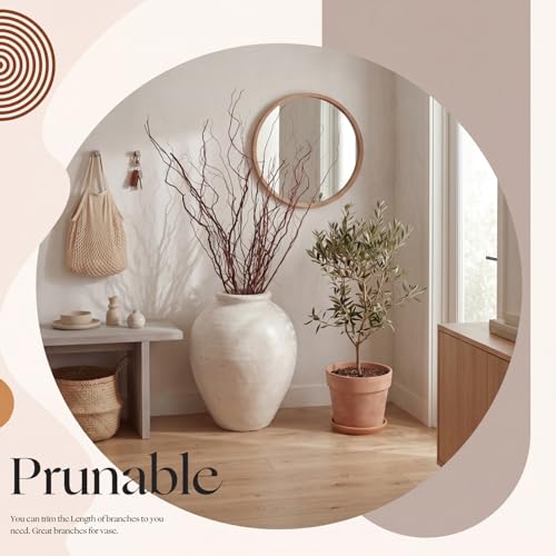 Thiccywoov 12 Pcs Real Dried Willow Branches 47.2 Inches Natural Curly - color: Natural, size: 47.2 Inches