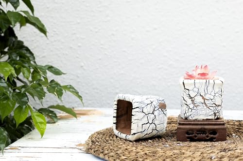 Ceramic Planter Pots w/Drainage, 3 Inch Set of 2, Indoor Outdoor Home Patio Garden Plants Flower Succulent, Crackle-Texture Square - style: Crackle-Texture Square-3" (2 pack)