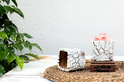 Ceramic Planter Pots w/Drainage, 3 Inch Set of 2, Indoor Outdoor Home Patio Garden Plants Flower Succulent, Crackle-Texture Square - style: Crackle-Texture Square-3" (2 pack)