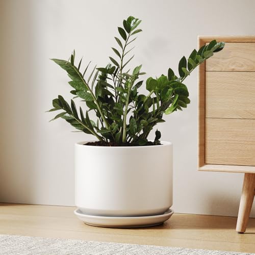 LE TAUCI 10 inch Plant Pot, Ceramic Pots for Plants, White - color: White, size: 10"