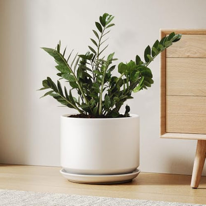 LE TAUCI 10 inch Plant Pot, Ceramic Pots for Plants, White - color: White, size: 10"