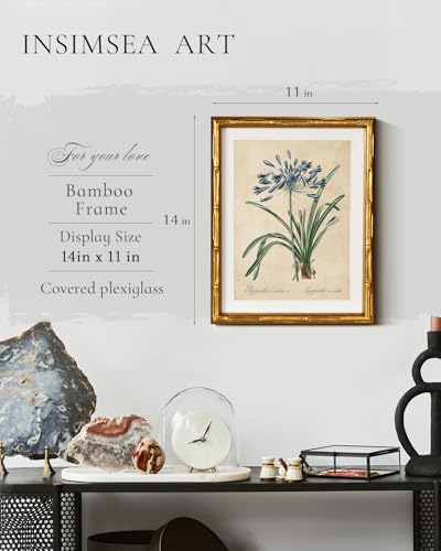 InSimSea Gold Bamboo Framed Wall Art, Retro Lily Botanical Prints, 11x14In - color: African Lily