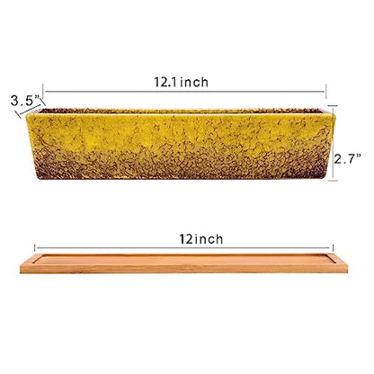 Succulent Pots - 12.1 Inch Large Succulent Planters Pots with Drainage Tray - color: Yellow