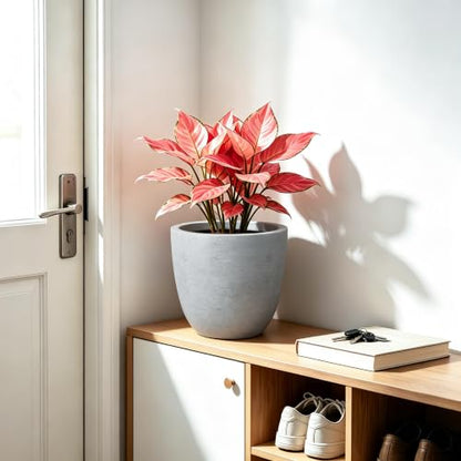 Kante Pale Gray Concrete Planter 10" Dia All-Weather Round Small Pot - color: Concrete Gray, size: 10-Inch Dia