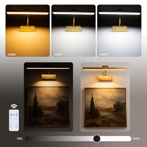 Battery Picture Light for Wall, Rechargeable Wireless Wall Sconce 1 Pack