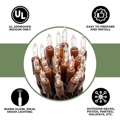 612 Vermont 20 Clear Mini Christmas String Lights on Brown Wire Cord - size: 20