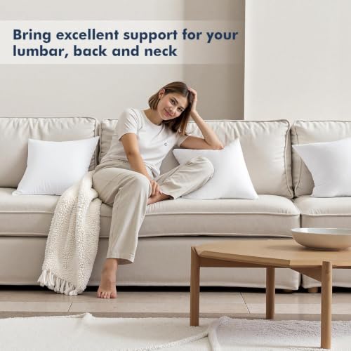 MIULEE 28x28 Euro Pillow Inserts 2 Pack, Throw Pillows for Couch Bed - size: 28x28 Inch