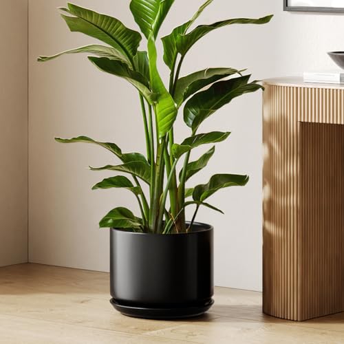 LE TAUCI 12 Inch Pots for Plants, Ceramic Planter with Saucer, Black - color: Black, size: 12"