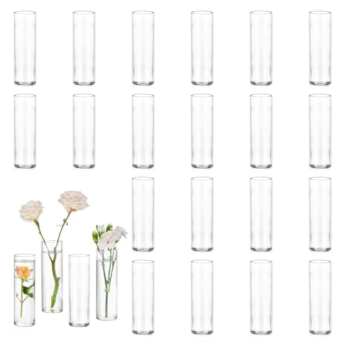 Glasseam Cylinder Bud Vases in Bulk 24: Clear Small Glass Vases for Flowers