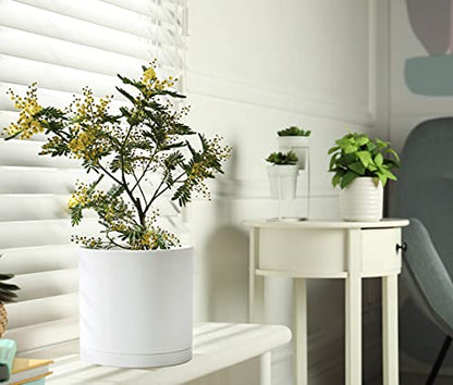D'vine Dev Plastic Planter Pot with Saucer, 8 in, White, 74-X-A-1 - color: Matte White, size: 8 Inch