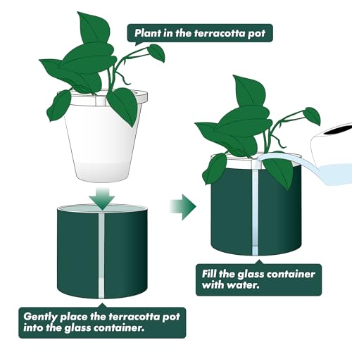 D'vine Dev Self Watering Terracotta Pot, Teal Glass Cup, 8 in, 37-X-C-5 - color: Teal, size: 8 Inch