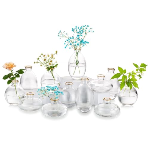 Glasseam Glass Bud Vase for Centerpieces: 12Pcs Clear Mini Small Vases Bulk - color: Gold Rim, size: 4 Sets