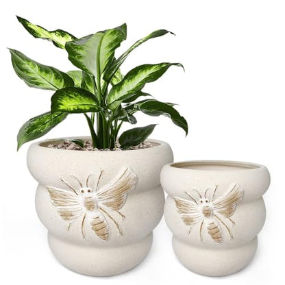 Ceramic Plant Pots, 8+6 Inch, 2 Pcs Indoor Planters with Drainage Holes - color: Terrabee Beige, size: 8+6 Inch