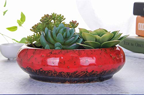 VanEnjoy 7.1 inch Round Large Shallow Succulent Ceramic Glazed Planter Pots with Drainage Hole, Bonsai Pots Garden Decorative Cactus Stand Flower Container (Red) - color: Red