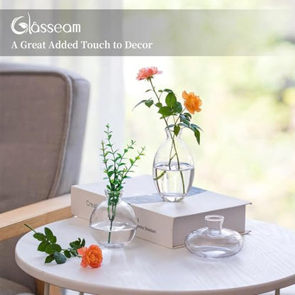 Glasseam Glass Bud Vase for Centerpieces, 6Pcs Clear Small Flower Vase Set - color: Clear, size: 2 Sets