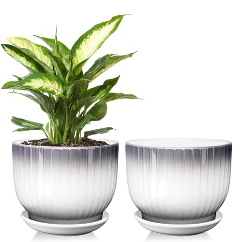 Ceramic Plant Pots, 6.7 Inch, Gray+White, Set of 2 - color: Gray + White, size: 6.7 Inch(2 PCS)