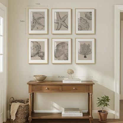 Framed Black and Beige Neutral Abstract Wall Art for Living Room, 6 Piece - color: Coastal & Tree Ring