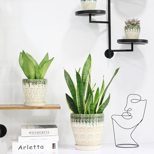 Ceramic Planter Pots for Indoor Plants, 8Inch + 6 Inch Plant Pot with Drainage Holes, Saucers and Mesh Pads, Succulent Orchid Flower Pot -Set of 2 - size: set of 2-8inch+6inch