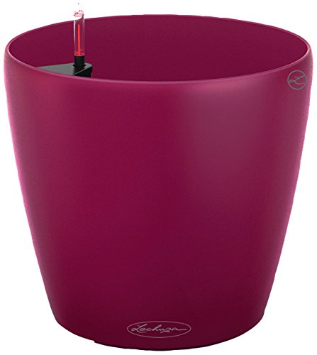 Lechuza 13205 Classico Color 28 Self-Watering Garden Planter for Indoor and Outdoor Use, Purple Garnet Matte - color: Purple Garnet Matte, style: 28