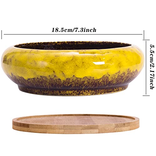 ARTKETTY Succulent Pots, 7.3 Inch Ceramic Bonsai Pots with Drainage Tray - color: Yellow