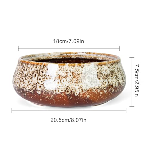 Succulent Pots, 8 Inch Large Bonsai Pots with Drainage, Ceramic Planters - color: White