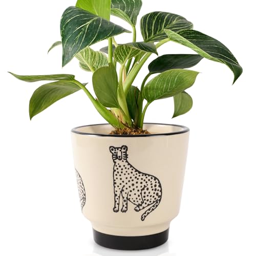 STHIE 5 Inch Ceramic Planters for Indoor Plants, Funny Small Plant Pots - color: Beige-panther