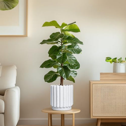 Ceramicfor Ceramic Planter, 7.6 Inch, White - color: Matte White, size: 7.6 Inch
