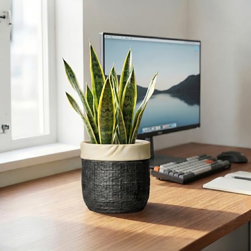 Ceramic Flower Pots, 6 Inch Pots for Plants, Round Planter, Black - color: Black, size: 6 Inch