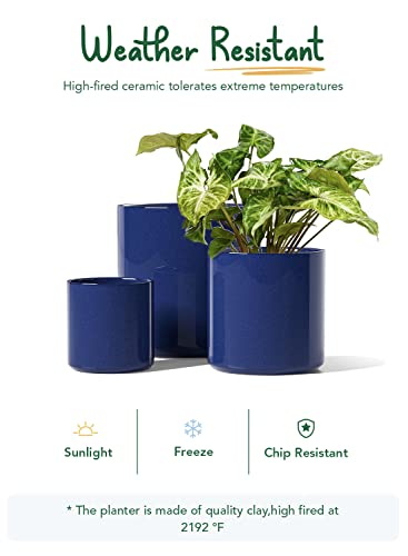 LE TAUCI 10+8+6 Inch Ceramic Pots for Plants, Indoor Planters with Drainage Hole and Plug, Modern Cylinder Flower Pots Set of 3 for Office and Living Room, Glossy, Midnight Blue - color: Midnight Blue