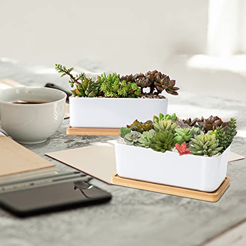 White Ceramic Succulent Planters, Indoor and Outdoor Succulent Planters, Set of 2 Small Cactus Containers, Bonsai Pots, Flower Pots with Drainage Hole and Bamboo Bowl (No Plant) - color: Rectangular